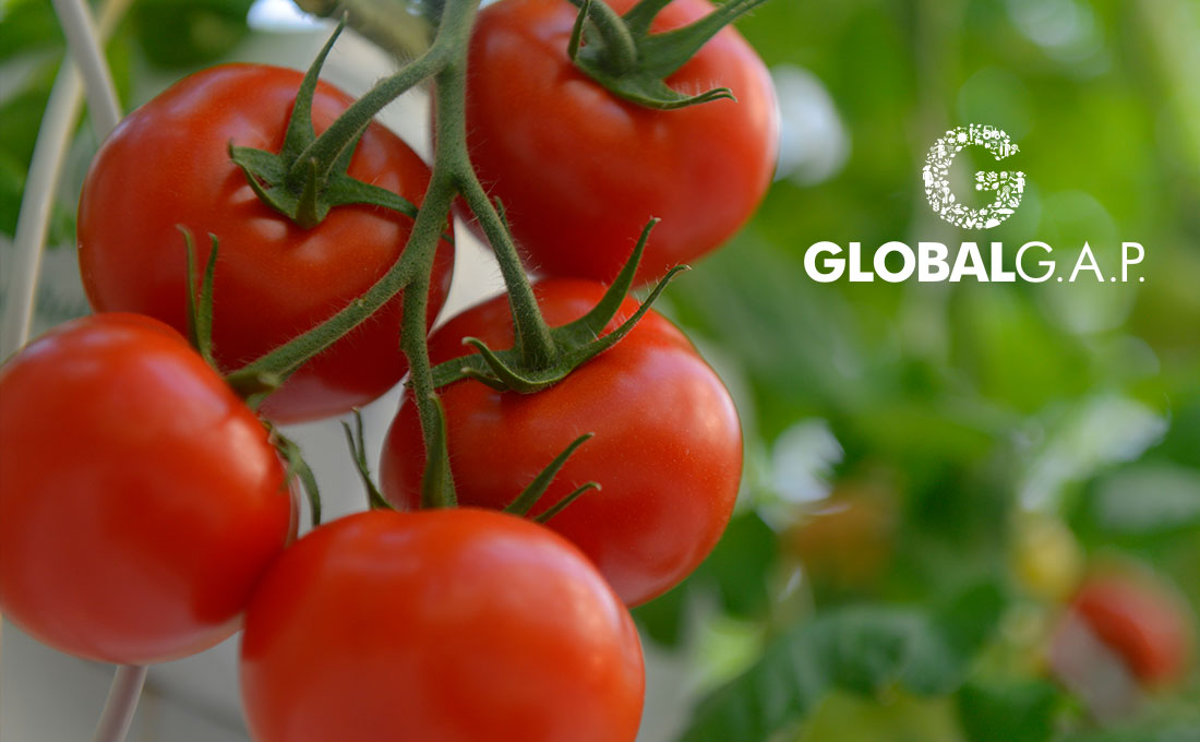 Мероприятия только для своих