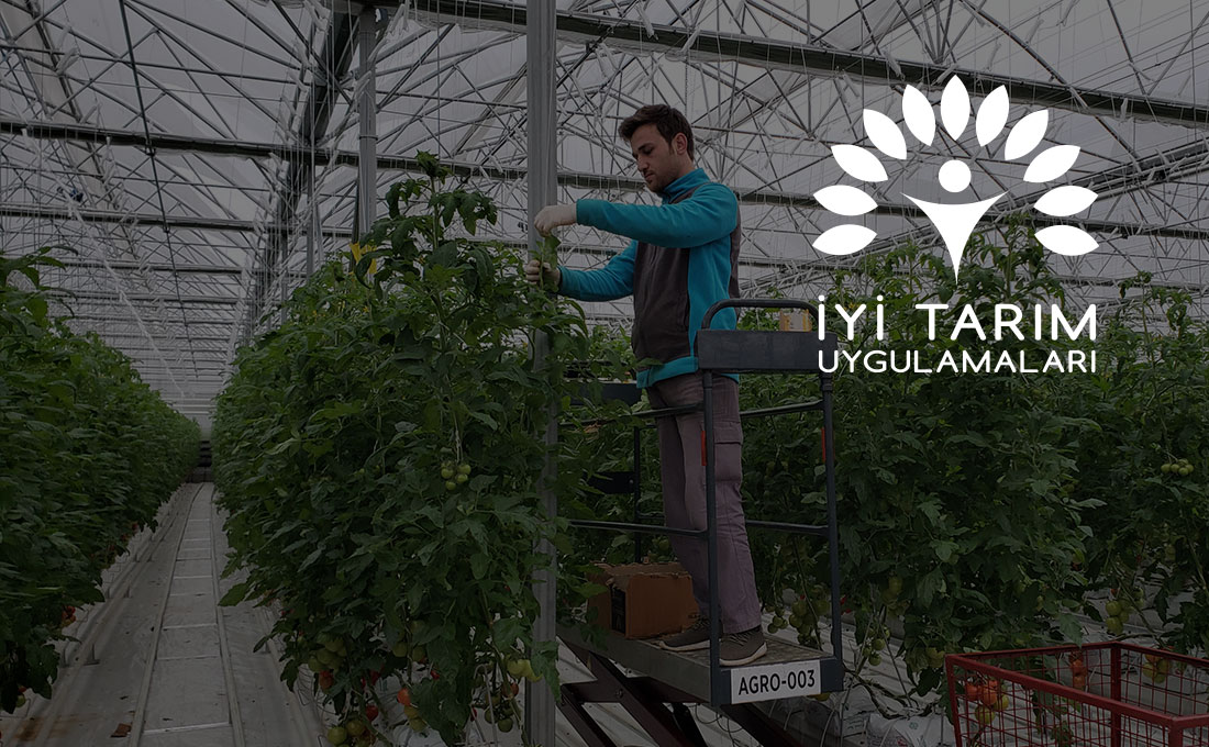 Активное общение